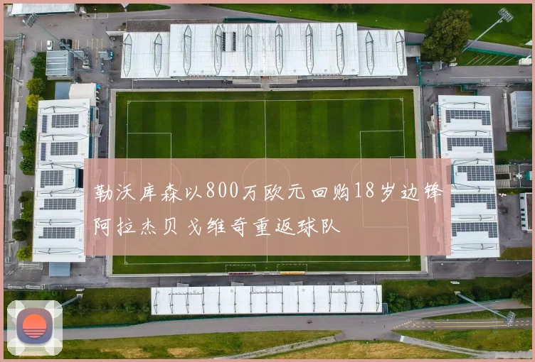 勒沃库森以800万欧元回购18岁边锋阿拉杰贝戈维奇重返球队
