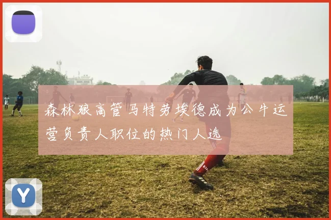 森林狼高管马特劳埃德成为公牛运营负责人职位的热门人选